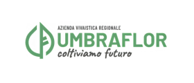 Umbraflor
